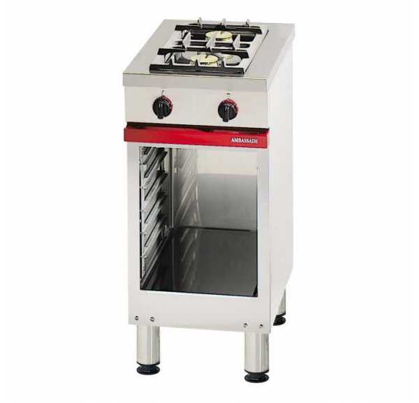 AMBASSADE - Fourneau 2 feux vifs 4kW sur baie libre