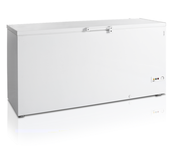 TEFCOLD - Congélateur de crème glacée 567 litres - FR605SL
