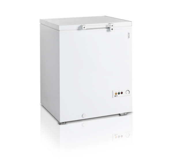 TEFCOLD - Congélateur de crème glacée 185 litres - FR205SL