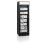 TEFCOLD - Armoire réfrigérée porte vitrée chauffante 300 L - UFSC370GCP Black