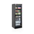 TEFCOLD - Armoire réfrigérée avec verrou 300 L - UFSC371G Black