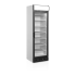 TEFCOLD - Armoire réfrigérée 1 porte vitrée avec verrou 300 L - UFSC371GCP