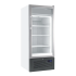 LIEBHERR - Armoire négative -25/-10°C 1 porte vitrée blanche 231 litres - FV3643