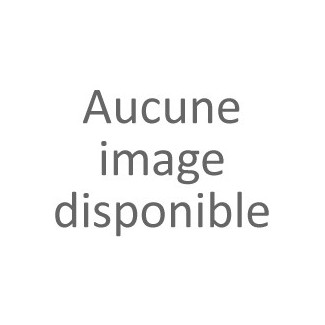 MONDIAL GROUP - Dispositif d'évaporation des eaux de condensats
